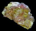 Lustrous, Yellow Cubic Fluorite Crystals - Morocco #32309-1